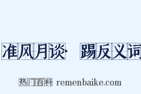 准风月谈·踢反义词是什么意思的图片